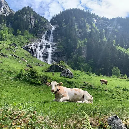 Lägenhet 657 Ramsau im Zillertal