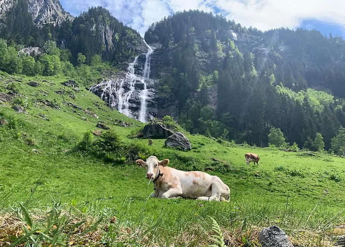 شقة 657 رامسو ام زيلرتال